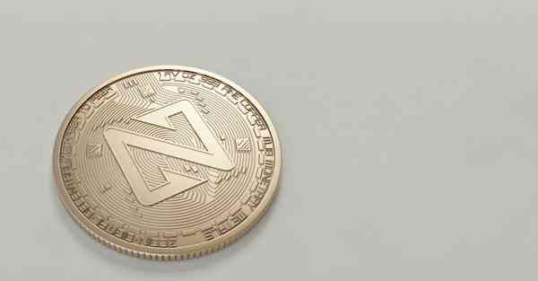 怎样制作红烧鸡块_怎样制作红烧鸡块视频