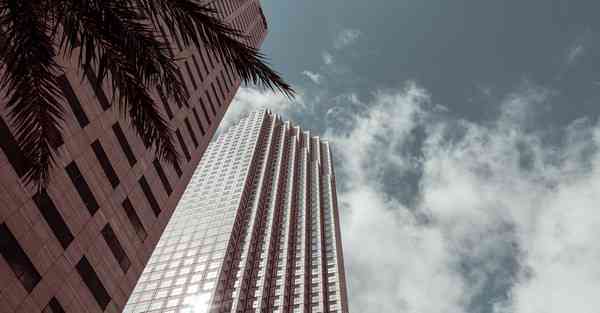 生物宣传片制作公司排名